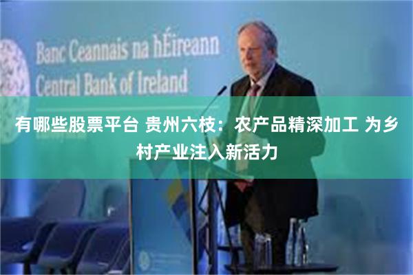 有哪些股票平台 贵州六枝：农产品精深加工 为乡村产业注入新活力