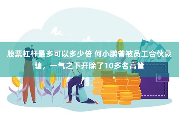 股票杠杆最多可以多少倍 何小鹏曾被员工合伙蒙骗，一气之下开除了10多名高管