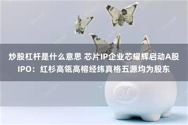炒股杠杆是什么意思 芯片IP企业芯耀辉启动A股IPO：红杉高瓴高榕经纬真格五源均为股东