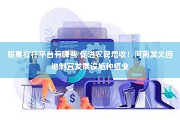 股票杠杆平台有哪些 促进农民增收！河南发文因地制宜发展设施种植业