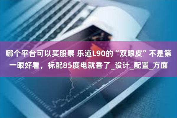 哪个平台可以买股票 乐道L90的“双眼皮”不是第一眼好看，标配85度电就香了_设计_配置_方面
