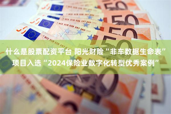 什么是股票配资平台 阳光财险“非车数据生命表”项目入选“2024保险业数字化转型优秀案例”