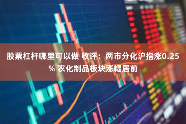 股票杠杆哪里可以做 收评：两市分化沪指涨0.25% 农化制品板块涨幅居前