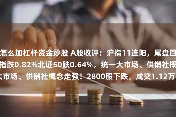 怎么加杠杆资金炒股 A股收评：沪指11连阳，尾盘回落至3300点下方，创指跌0.82%北证50跌0.64%，统一大市场、供销社概念走强！2800股下跌，成交1.12万亿放量476亿