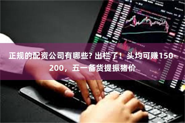 正规的配资公司有哪些? 出栏了！头均可赚150-200，五一备货提振猪价
