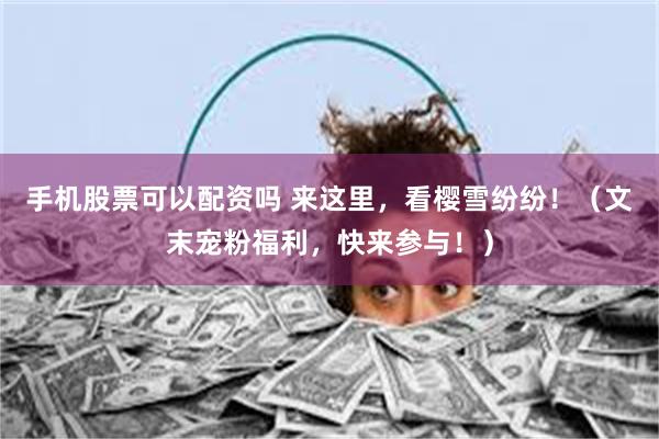 手机股票可以配资吗 来这里，看樱雪纷纷！（文末宠粉福利，快来参与！）