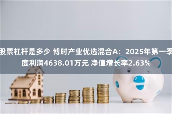 股票杠杆是多少 博时产业优选混合A：2025年第一季度利润4638.01万元 净值增长率2.63%
