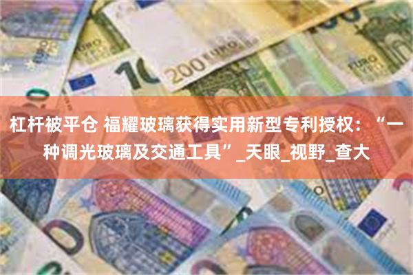 杠杆被平仓 福耀玻璃获得实用新型专利授权：“一种调光玻璃及交通工具”_天眼_视野_查大