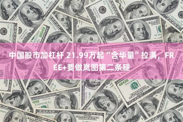 中国股市加杠杆 21.99万起“含华量”拉满，FREE+要做岚图第二条腿