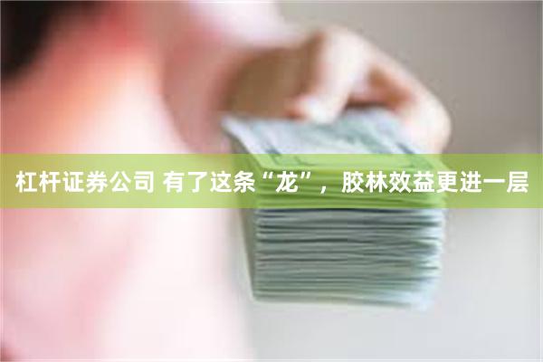 杠杆证券公司 有了这条“龙”，胶林效益更进一层
