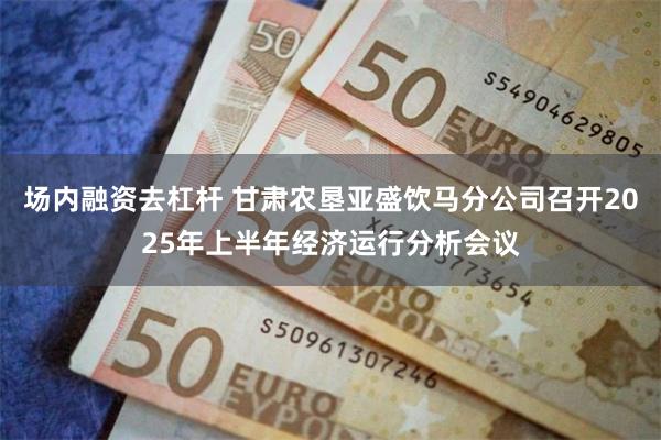场内融资去杠杆 甘肃农垦亚盛饮马分公司召开2025年上半年经济运行分析会议