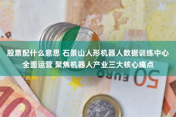 股票配什么意思 石景山人形机器人数据训练中心全面运营 聚焦机器人产业三大核心痛点