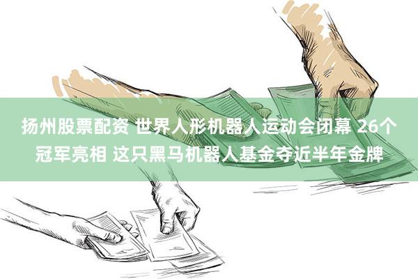 扬州股票配资 世界人形机器人运动会闭幕 26个冠军亮相 这只黑马机器人基金夺近半年金牌
