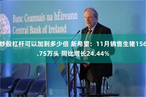 炒股杠杆可以加到多少倍 新希望:11月销售生猪156.75万头 同比增长24.44%